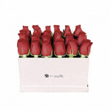 Box Nacar por 24 Rosas