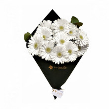 Cono de Gerberas por 12