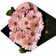 Cono de Gerberas por 12